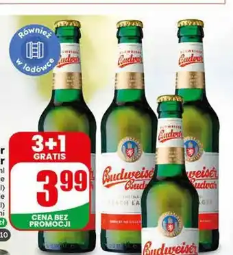 Piwo Budweiser Budvar