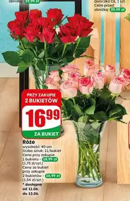 Dino Róże 11-pak oferta