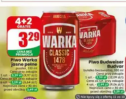 Dino Piwo Warka jasne pełne oferta