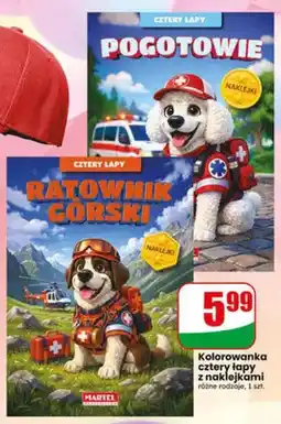 Dino Kolorowanka Cztery Łapy z naklejkami oferta
