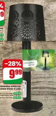 Dino Latarenka solarna plastikowa klosz 6 LED oferta