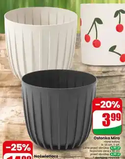 Dino Osłonka Mira oferta