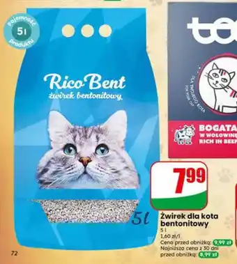 Dino Żwirek dla kota bentonitowy Rico Bent oferta