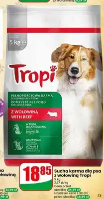 Dino Sucha karma dla psa z wołowiną Tropi oferta