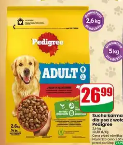 Dino Sucha karma dla psa z wołowiną Pedigree Adult oferta