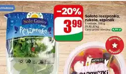 Dino Sałata szpinak Sole Gusto oferta