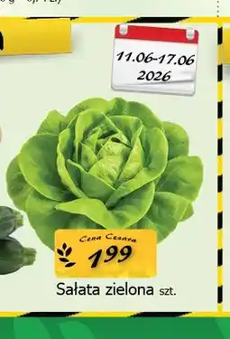 Cezar Delikatesy Sałata zielona oferta