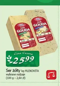 Cezar Delikatesy Ser żółty Gouda z kozieradką Mlekovita oferta