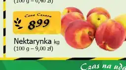 Cezar Delikatesy Nektarynka oferta