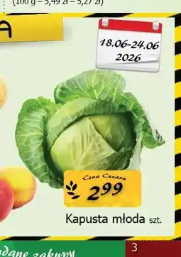 Cezar Delikatesy Kapusta młoda oferta