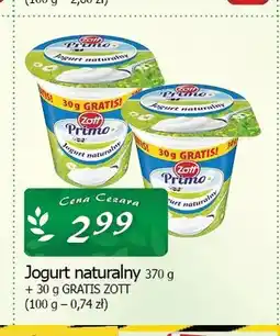 Cezar Delikatesy Jogurt naturalny Primo Zott oferta