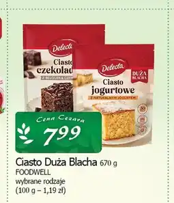 Cezar Delikatesy Ciasto czekoladowe Delecta Duża Blacha oferta