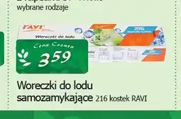 Cezar Delikatesy Woreczki do lodu samozamykające Ravi 216 kostek oferta