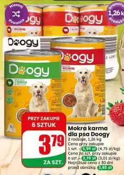 Dino Mokra karma dla psa Doogy oferta