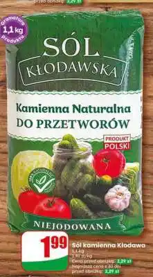 Dino Sól kamienna Kłodawa oferta