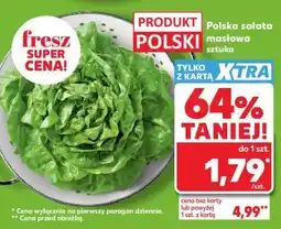 Kaufland Polska sałata masłowa sztuka oferta