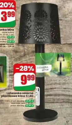 Dino Latarenka solarna plastikowa klosz & LED oferta