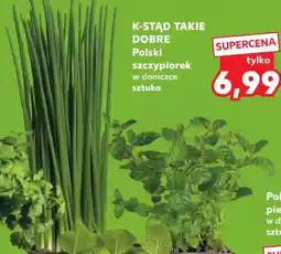 Kaufland Polski szczypiorek w doniczce sztuka oferta
