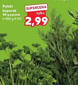 Kaufland Polski koperek oferta