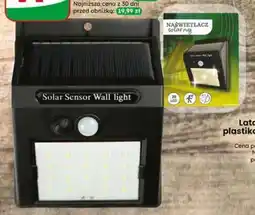 Dino Latarnia solarna plastikowa oferta