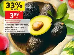 Auchan Awokado odmiana Hass oferta