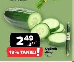 Netto Ogórek długi oferta