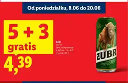 Lidl Piwo Żubr oferta