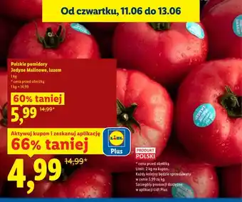 Pomidory malinowe Jedyne luzem polskie