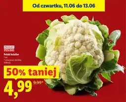 Lidl Kalafior polski oferta