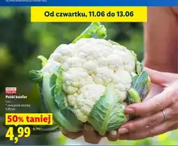 Lidl Kalafior polski oferta
