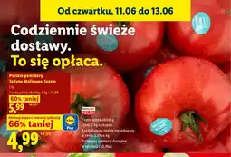 Lidl Pomidory Jedyne Malinowe polskie luzem oferta