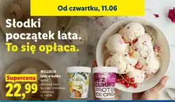 Lidl Lody w kubku jogurt proteinowy z porzeczką Willisch oferta