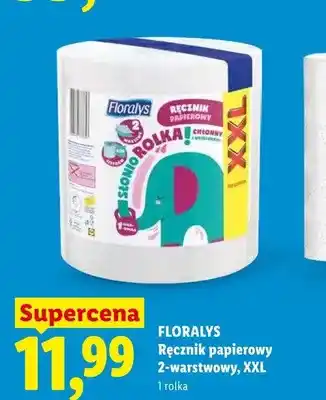 Lidl Ręcznik papierowy 2-warstwowy Floralys XXL oferta