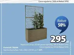 JYSK Kwietnik TRANA oferta