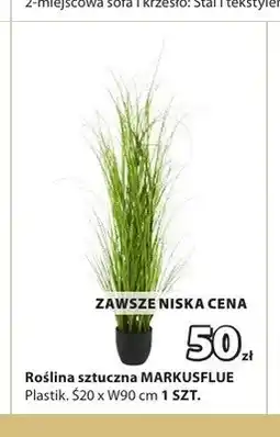 JYSK Roślina sztuczna MARKUSFLUE oferta