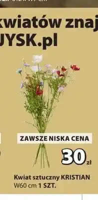 JYSK Kwiat sztuczny KRISTIAN oferta