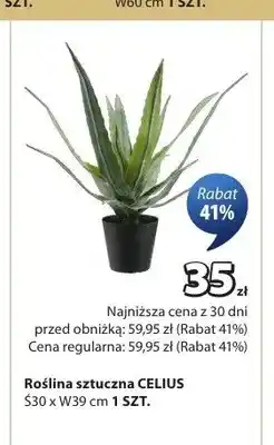 JYSK Roślina sztuczna CELIUS oferta