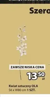 JYSK Kwiat sztuczny OLA oferta
