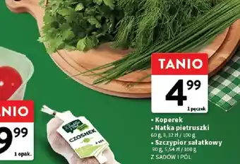 Szczypior sałatkowy Z Sadów i Pól
