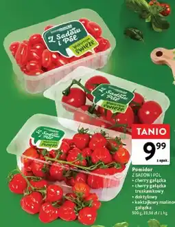 Intermarche Pomidor cherry gałązka Z Sadów i Pól oferta