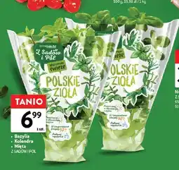 Intermarche Bazylia Z Sadów i Pól oferta