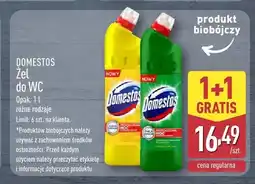 ALDI Żel do WC Domestos oferta