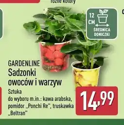 ALDI Sadzonki owoców i warzyw GARDENLINE oferta