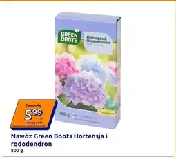 Action Nawóz Green Boots Hortensja i rododendron oferta