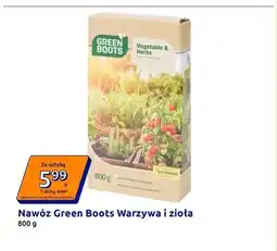 Action Nawóz Green Boots Warzywa i zioła oferta