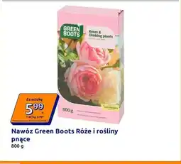 Action Nawóz Green Boots Róże i rośliny pnące oferta