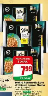 Dino Mokra karma dla kota drobiowe smaki Sheba oferta