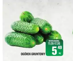 TomiMarkt Ogórek gruntowy oferta