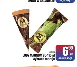 TomiMarkt Lody Magnum Algida oferta