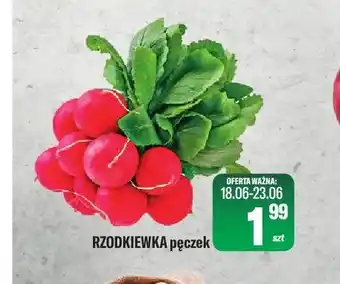 TomiMarkt Rzodkiewka pęczek oferta